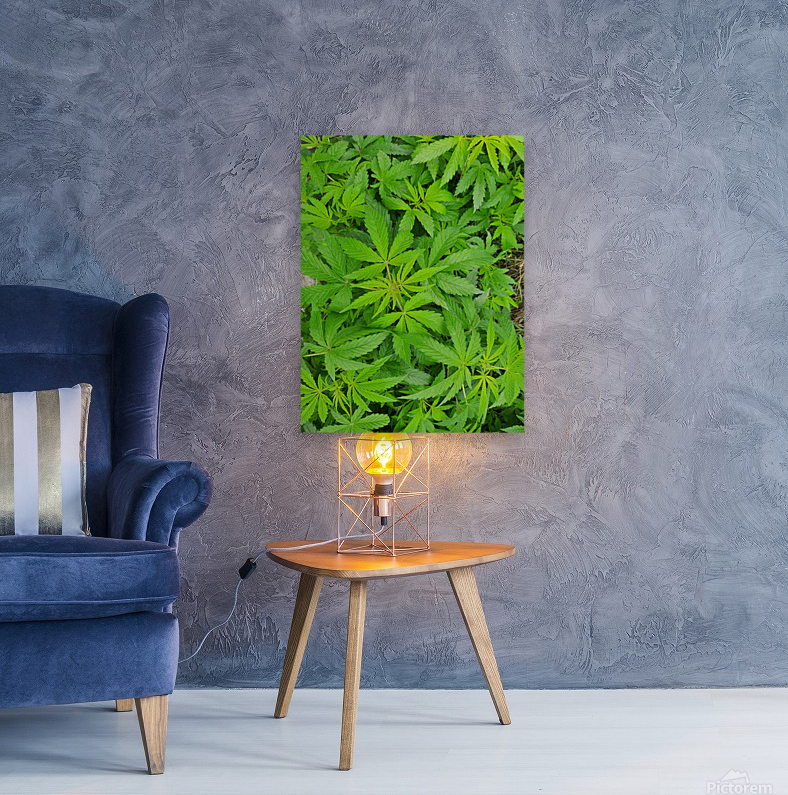 Green Leaves Reproduction