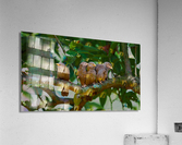 The Gang Acrylic Print