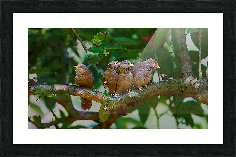 The Gang Picture Frame print
