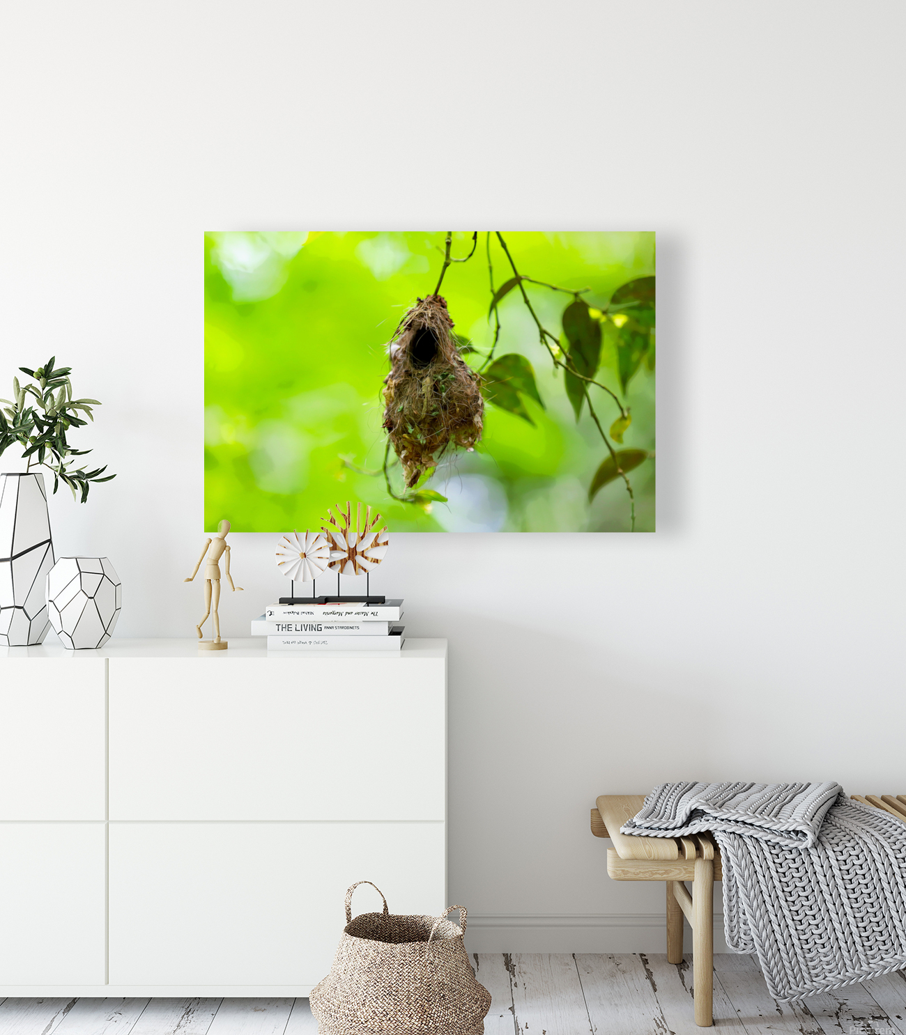 The Nest Reproduction