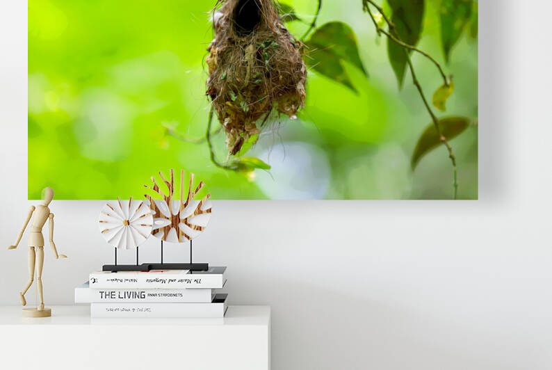 The Nest by Luxury Collections