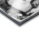 Elvis  Acrylic print