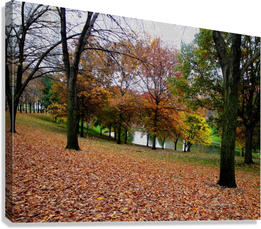 Fall On Display 2 b Canvas Print