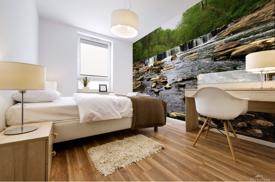 Tranquil Falls 5 Mural print