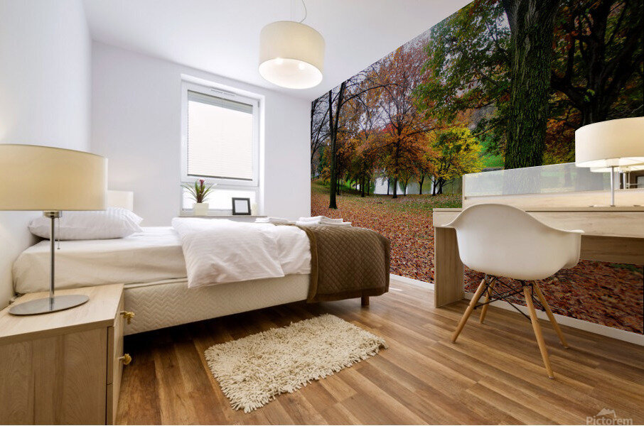Fall On Display 2 b Mural print