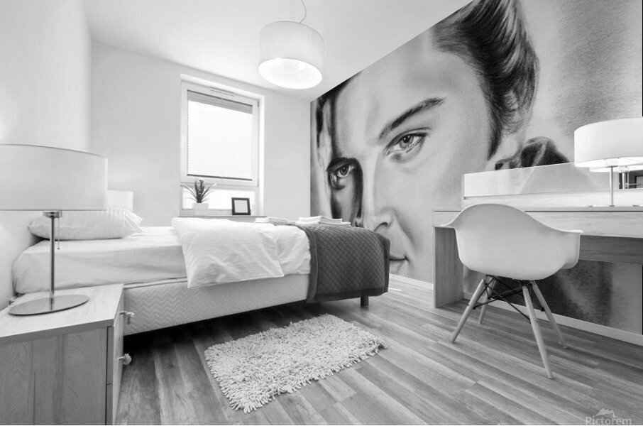 Elvis  Mural print