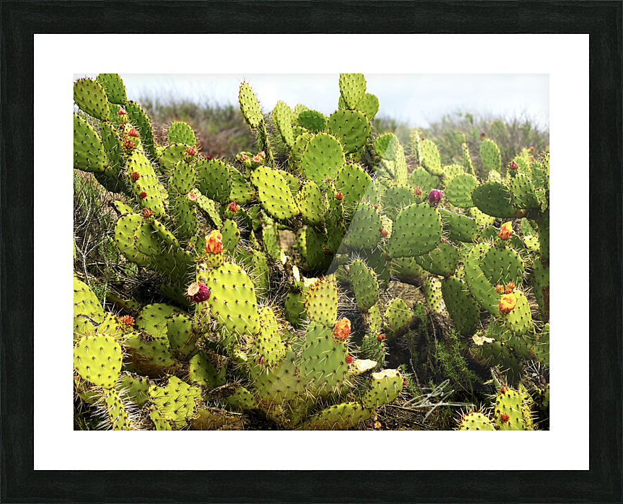 Sticky Situation 2 Picture Frame print