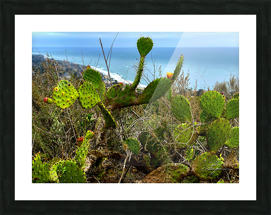 Sticky Situation Picture Frame print