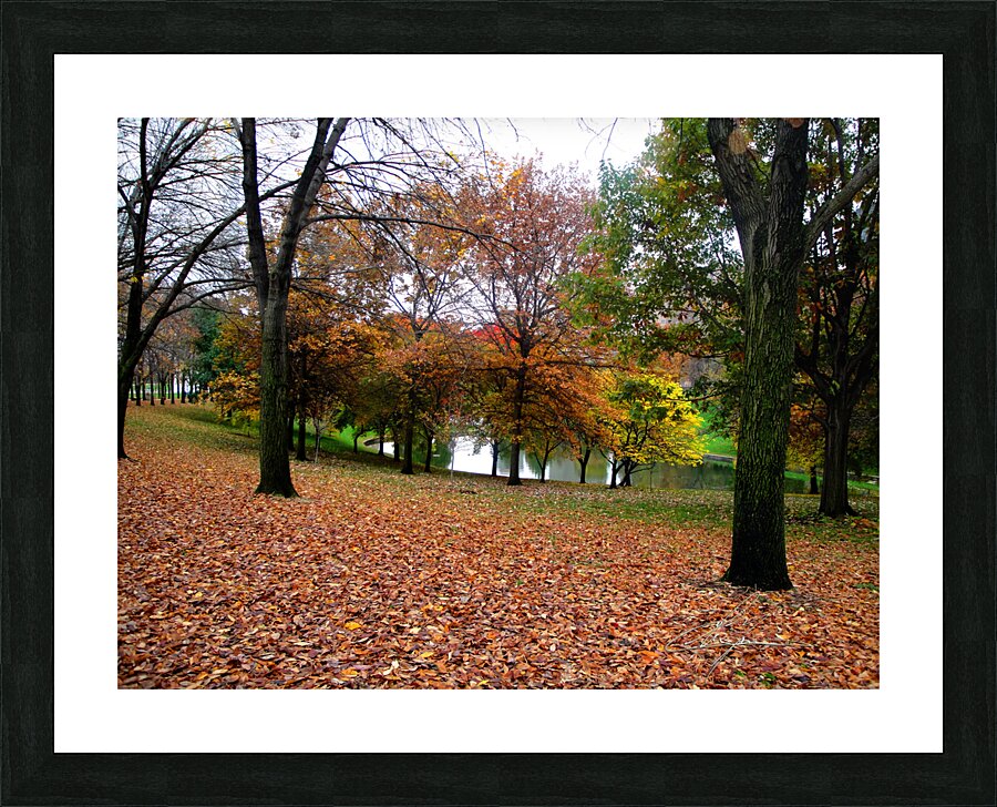 Fall On Display 2 Picture Frame print