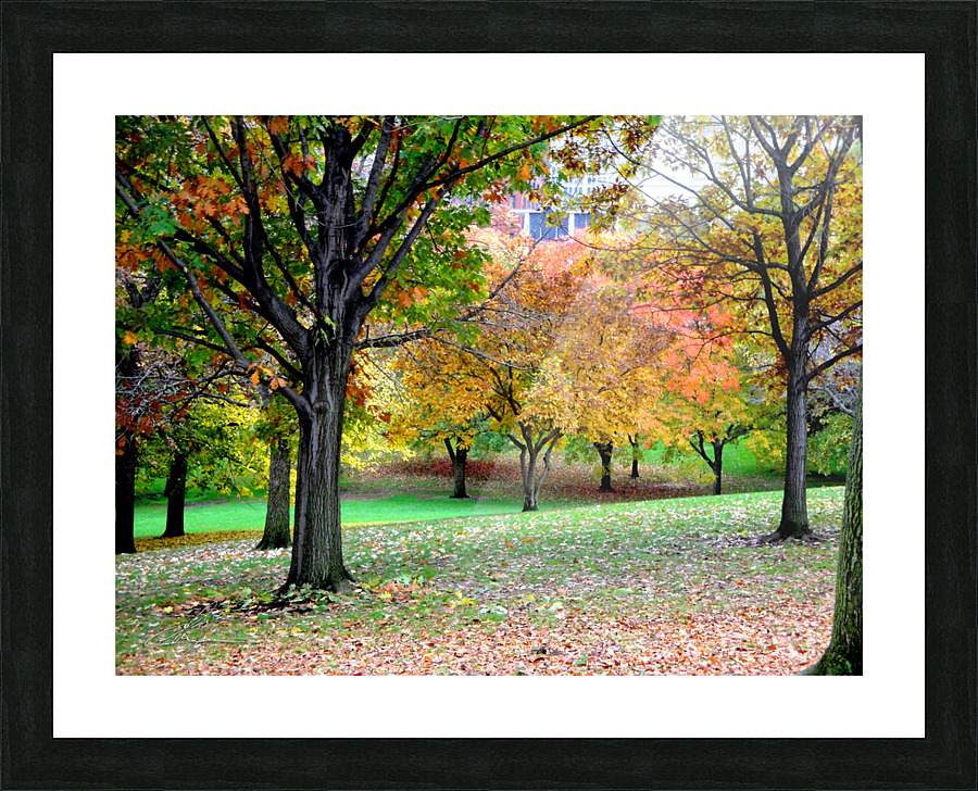 Fall On Display 3 Picture Frame print