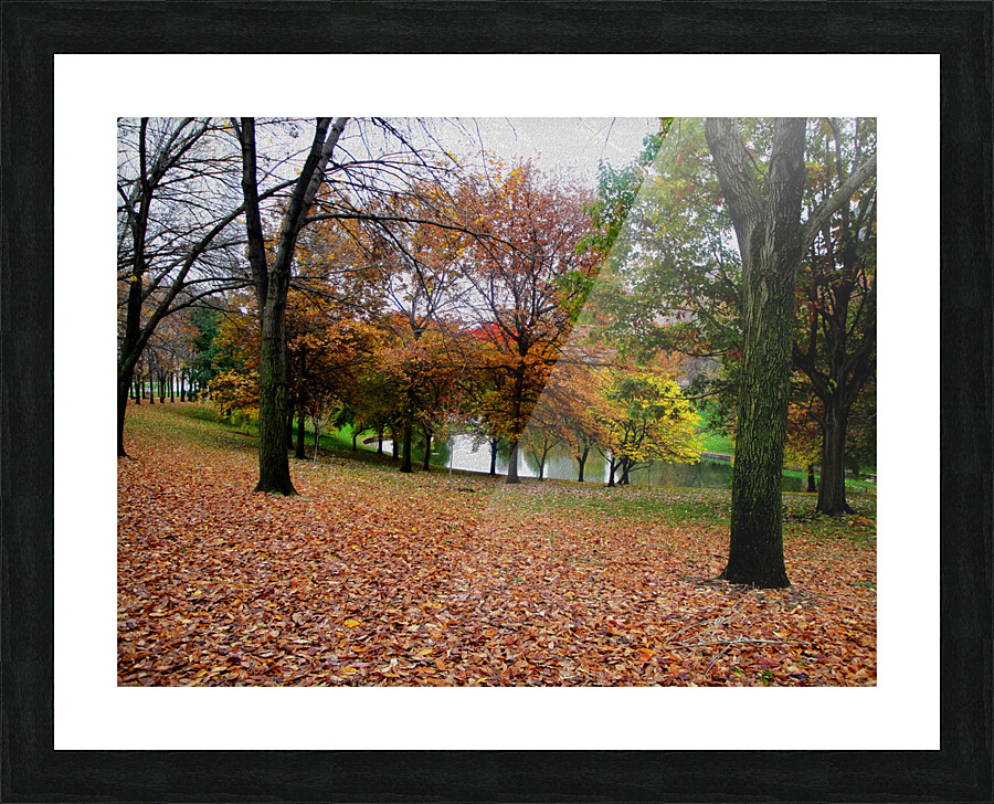 Fall On Display 2 b Picture Frame print