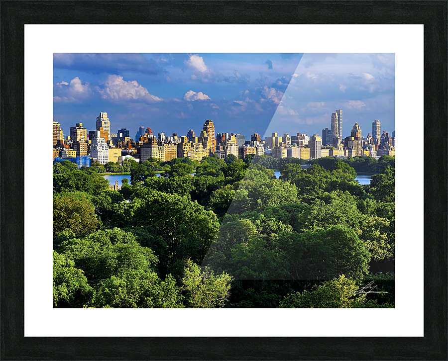 100 Central Park Picture Frame print