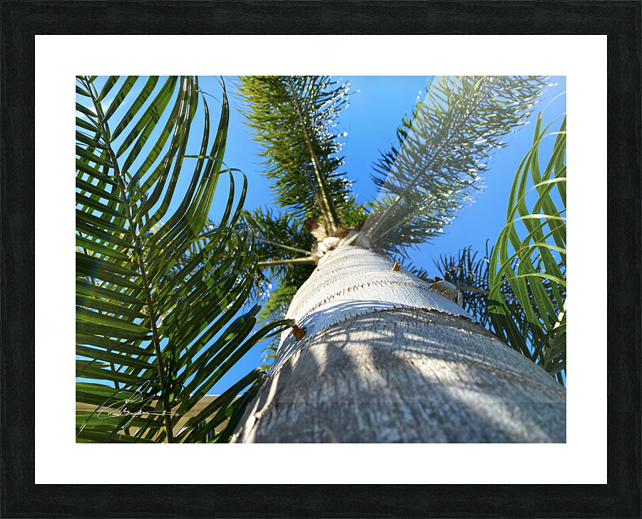 Stand Tall  Picture Frame print