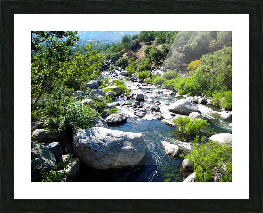 Go With The Flow  Picture Frame print