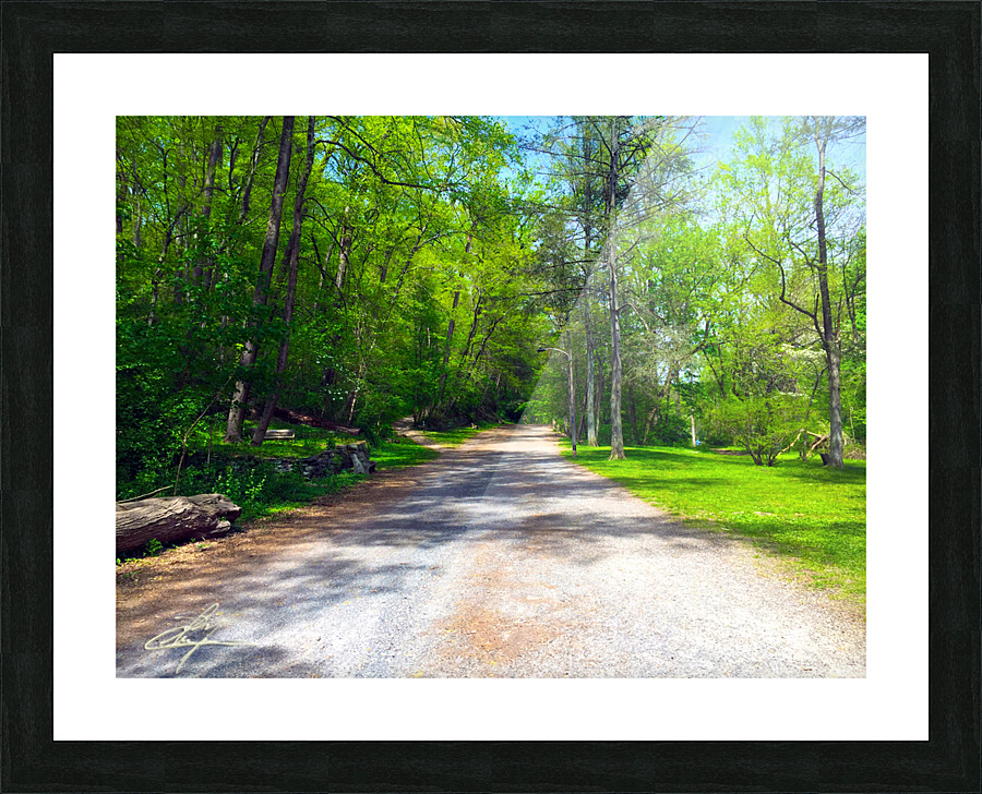 Stay On Your Path Picture Frame print