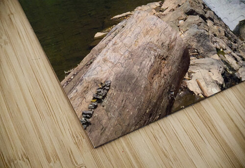 Tranquil Falls Chris Mann puzzle