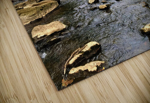 Tranquil Falls 5 Chris Mann puzzle