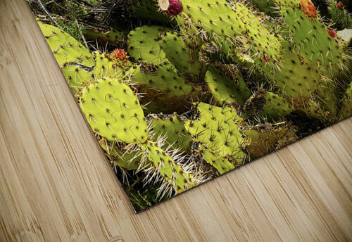 Sticky Situation 2 Chris Mann puzzle