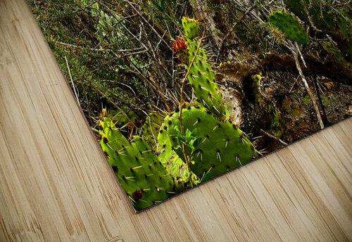 Sticky Situation Chris Mann puzzle