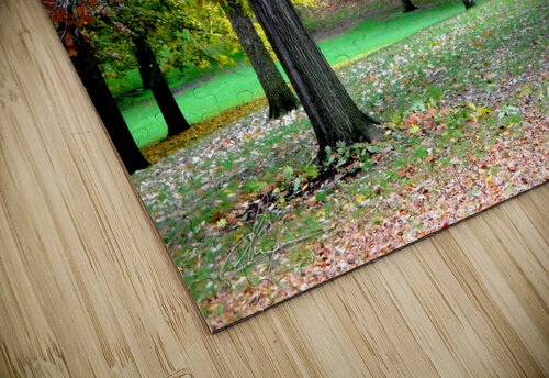 Fall On Display 3 Chris Mann puzzle