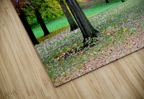 Fall On Display 3b Chris Mann puzzle