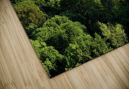 100 Central Park Chris Mann puzzle