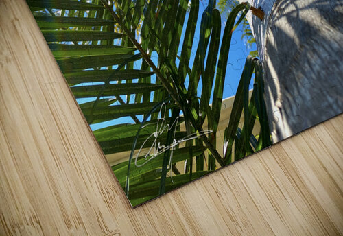 Stand Tall  Chris Mann puzzle