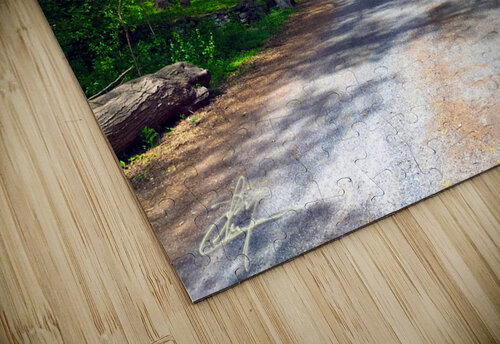 Stay On Your Path Chris Mann puzzle