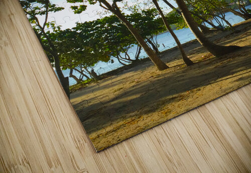 Be Different Chris Mann puzzle