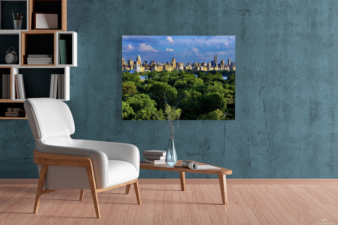 100 Central Park Reproduction