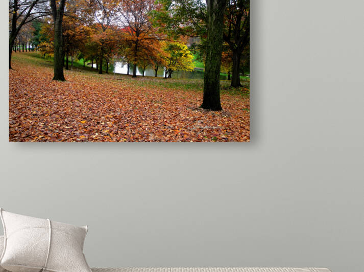 Fall On Display 2 Reproduction