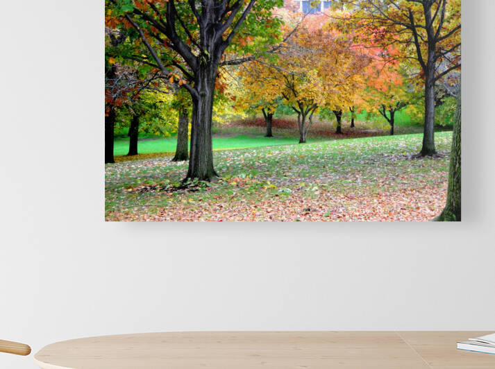Fall On Display 3 Reproduction