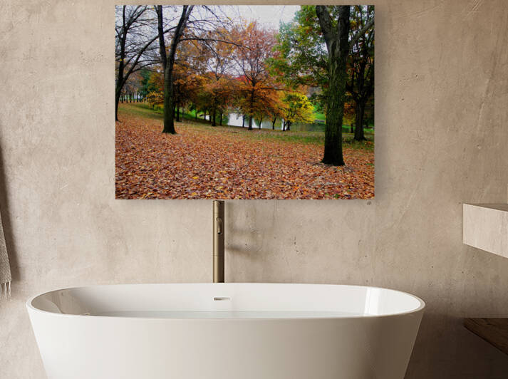 Fall On Display 2 b Reproduction