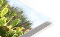 Sticky Situation 2 HD Metal print