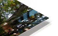 Fall On Display 2 HD Metal print