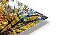 Fall On Display 3 HD Metal print