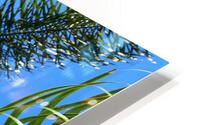 Stand Tall  HD Metal print