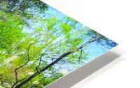 Stay On Your Path HD Metal print