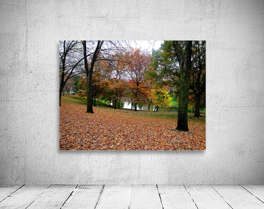 Fall On Display 2 Wall Preview