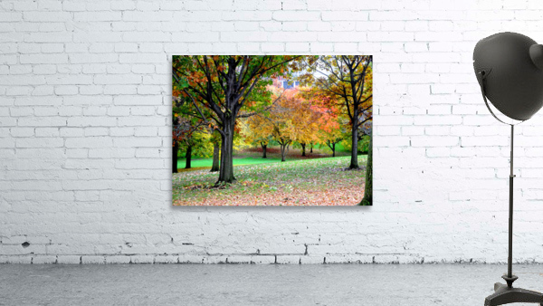 Fall On Display 3 Wall Preview