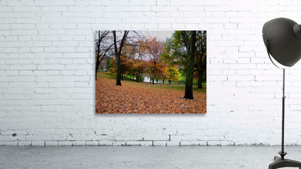 Fall On Display 2 b Wall Preview