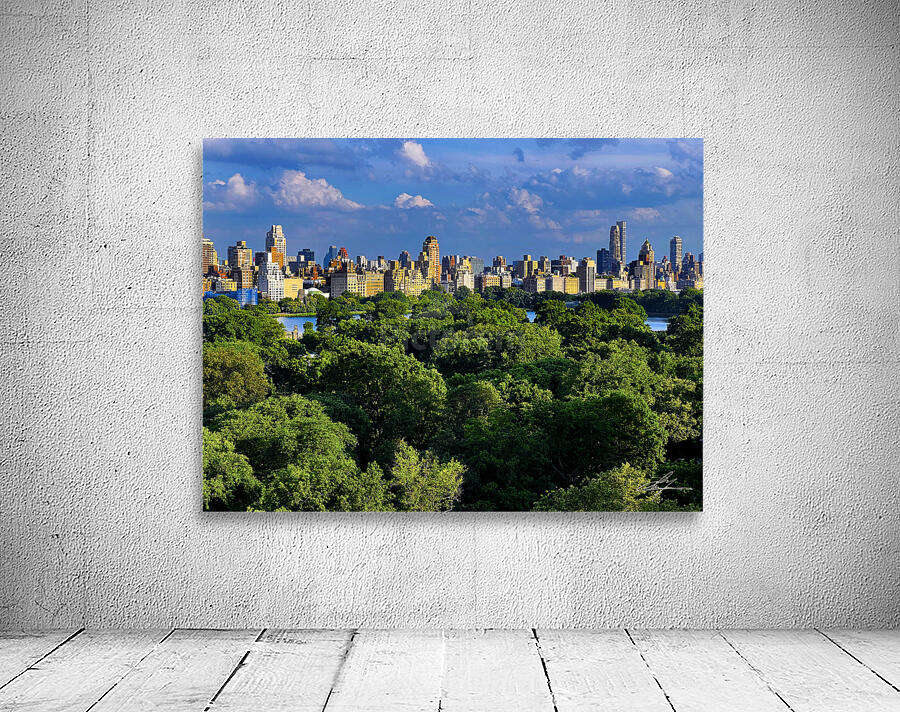 100 Central Park Wall Preview