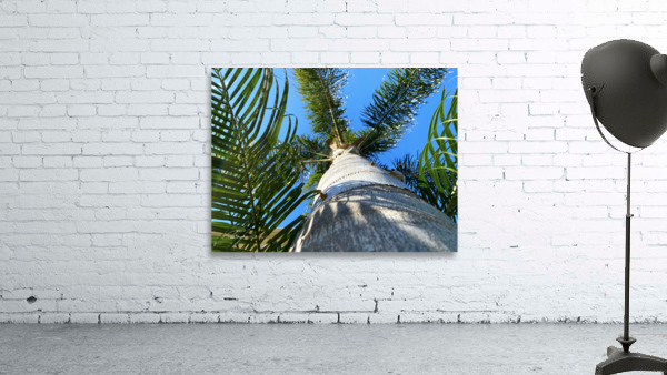 Stand Tall  Wall Preview