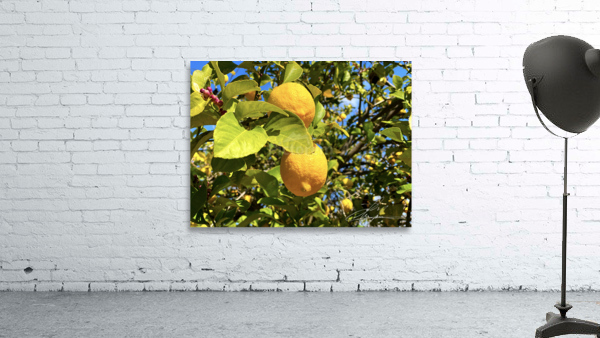 Lovely Lemons  Wall Preview