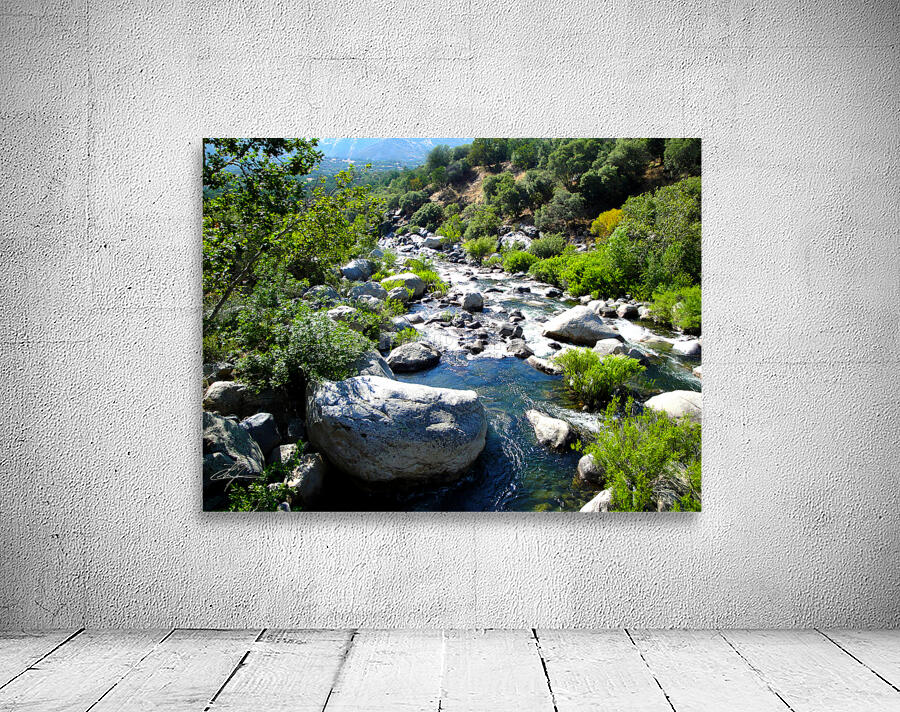 Go With The Flow  Wall Preview