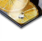 Lemon Slices Acrylic print