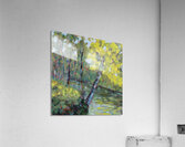 Summers Possibilities Acrylic Print