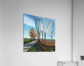Late Fall Drive Acrylic Print