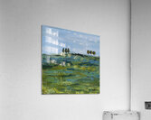 Bluegrass Joy Acrylic Print