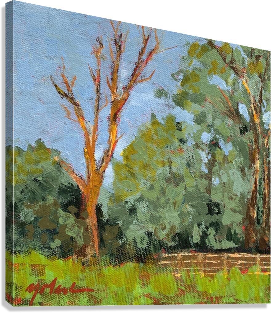 At the Farm Canvas Print